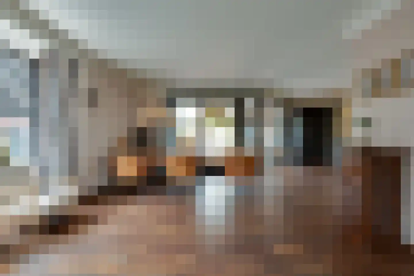Fiifhuzen 17 Harkema thumbnail 14