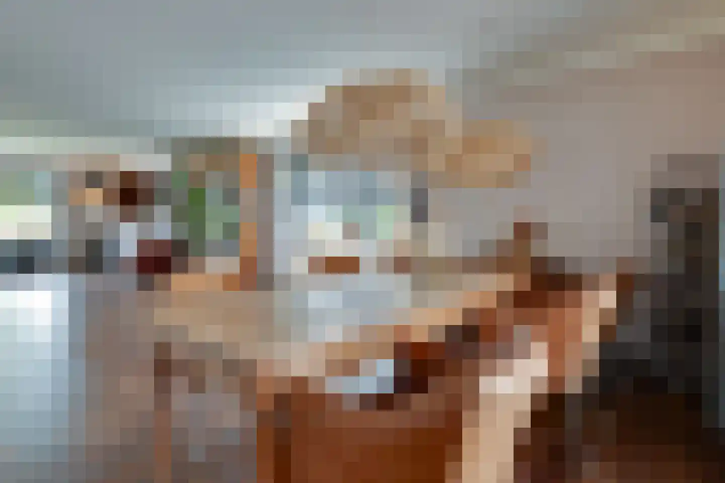 Fiifhuzen 17 Harkema thumbnail 15