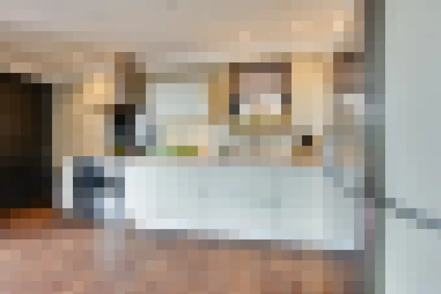 Fiifhuzen 17 Harkema thumbnail 17