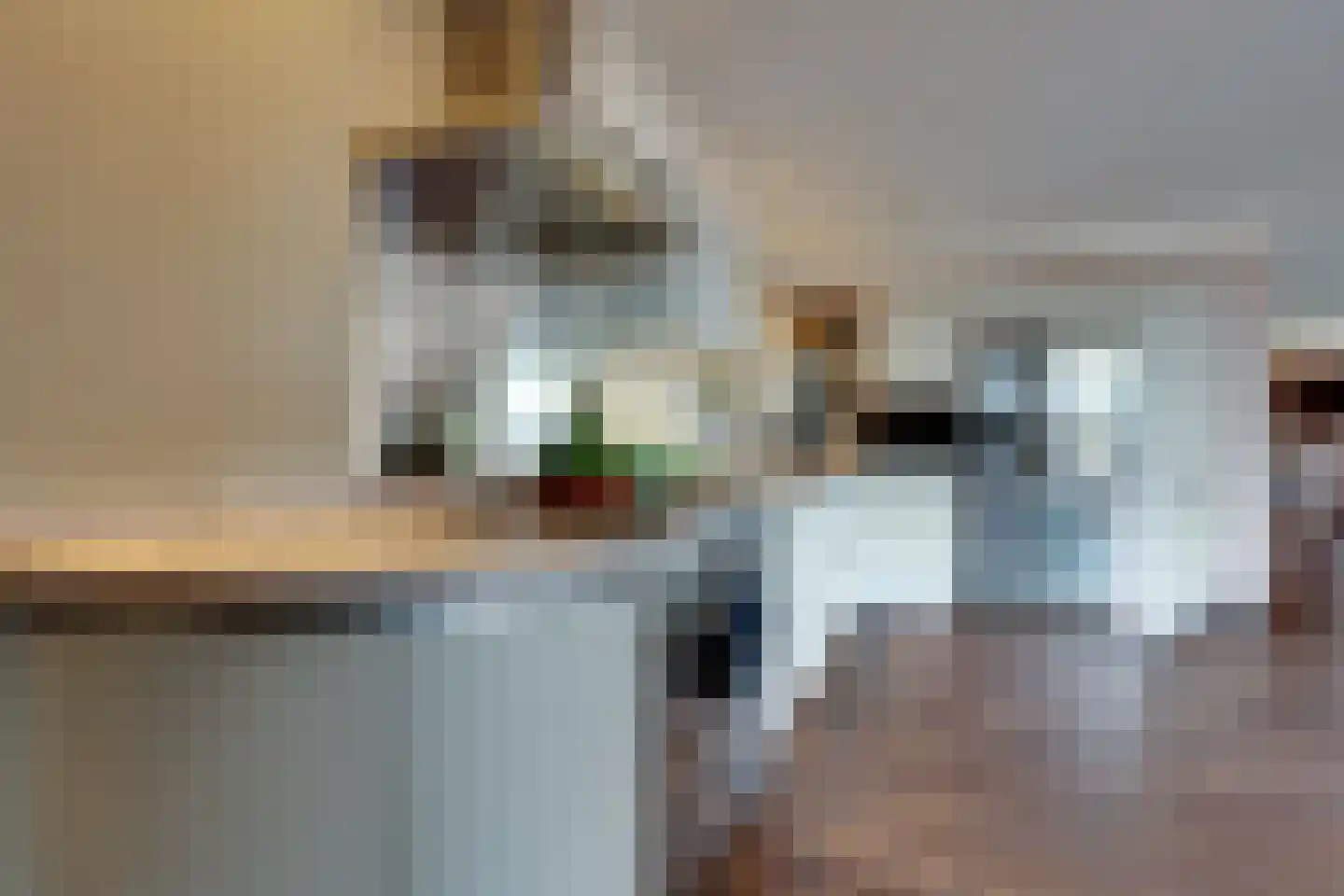 Fiifhuzen 17 Harkema thumbnail 19