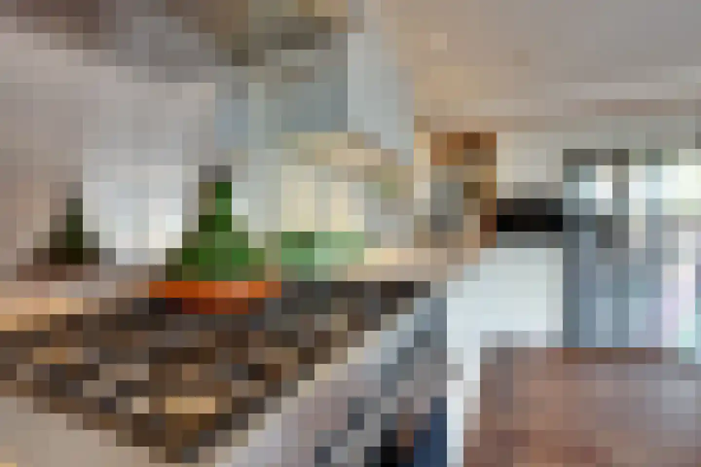 Fiifhuzen 17 Harkema thumbnail 20