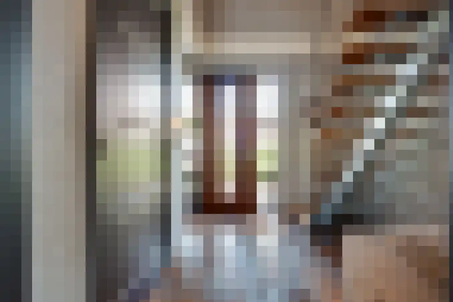 Fiifhuzen 17 Harkema thumbnail 25
