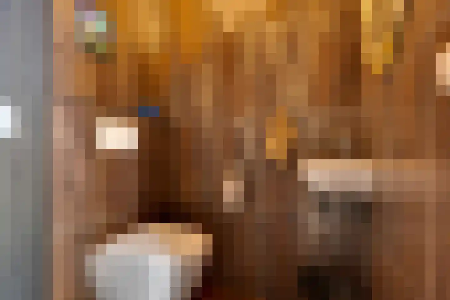 Fiifhuzen 17 Harkema thumbnail 26