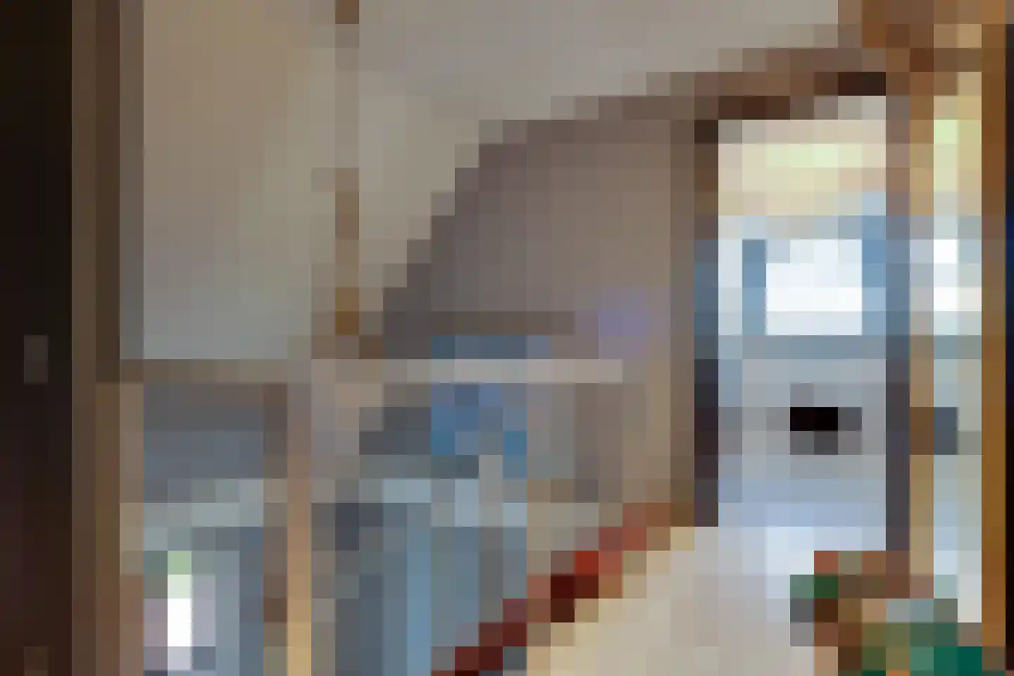 Fiifhuzen 17 Harkema thumbnail 29