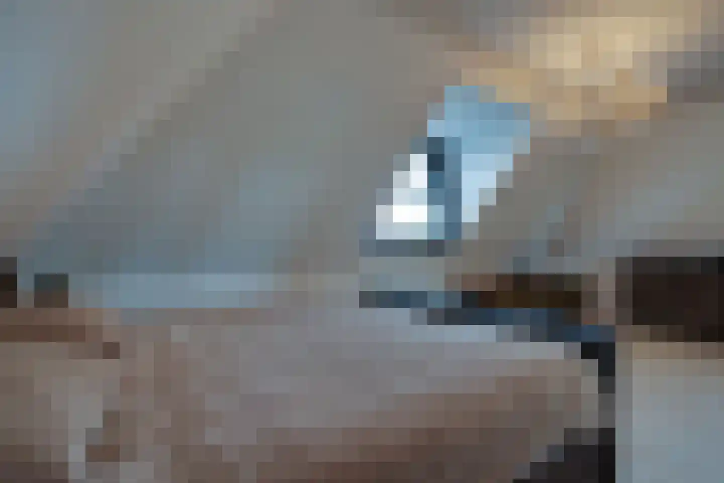Fiifhuzen 17 Harkema thumbnail 31