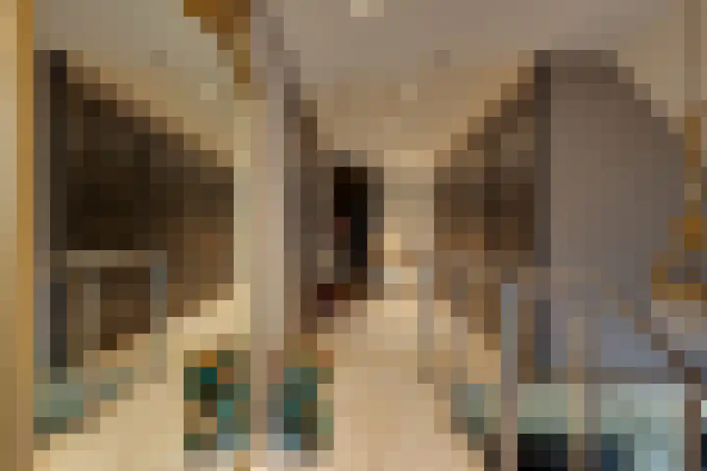 Fiifhuzen 17 Harkema thumbnail 32