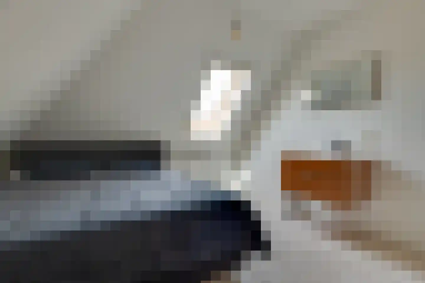 Fiifhuzen 17 Harkema thumbnail 34