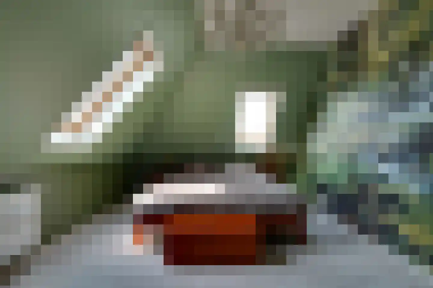 Fiifhuzen 17 Harkema thumbnail 37