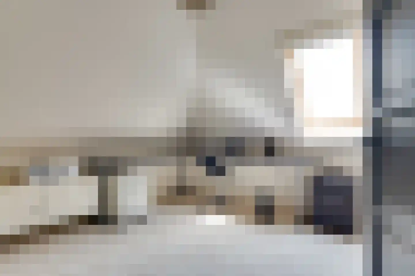 Fiifhuzen 17 Harkema thumbnail 39