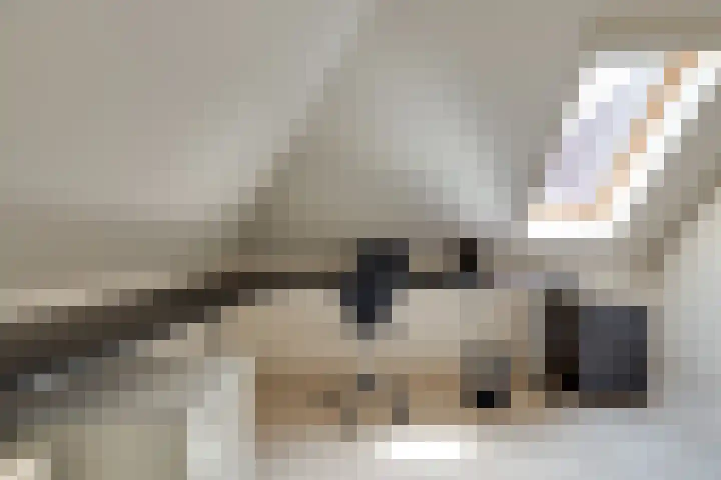 Fiifhuzen 17 Harkema thumbnail 40