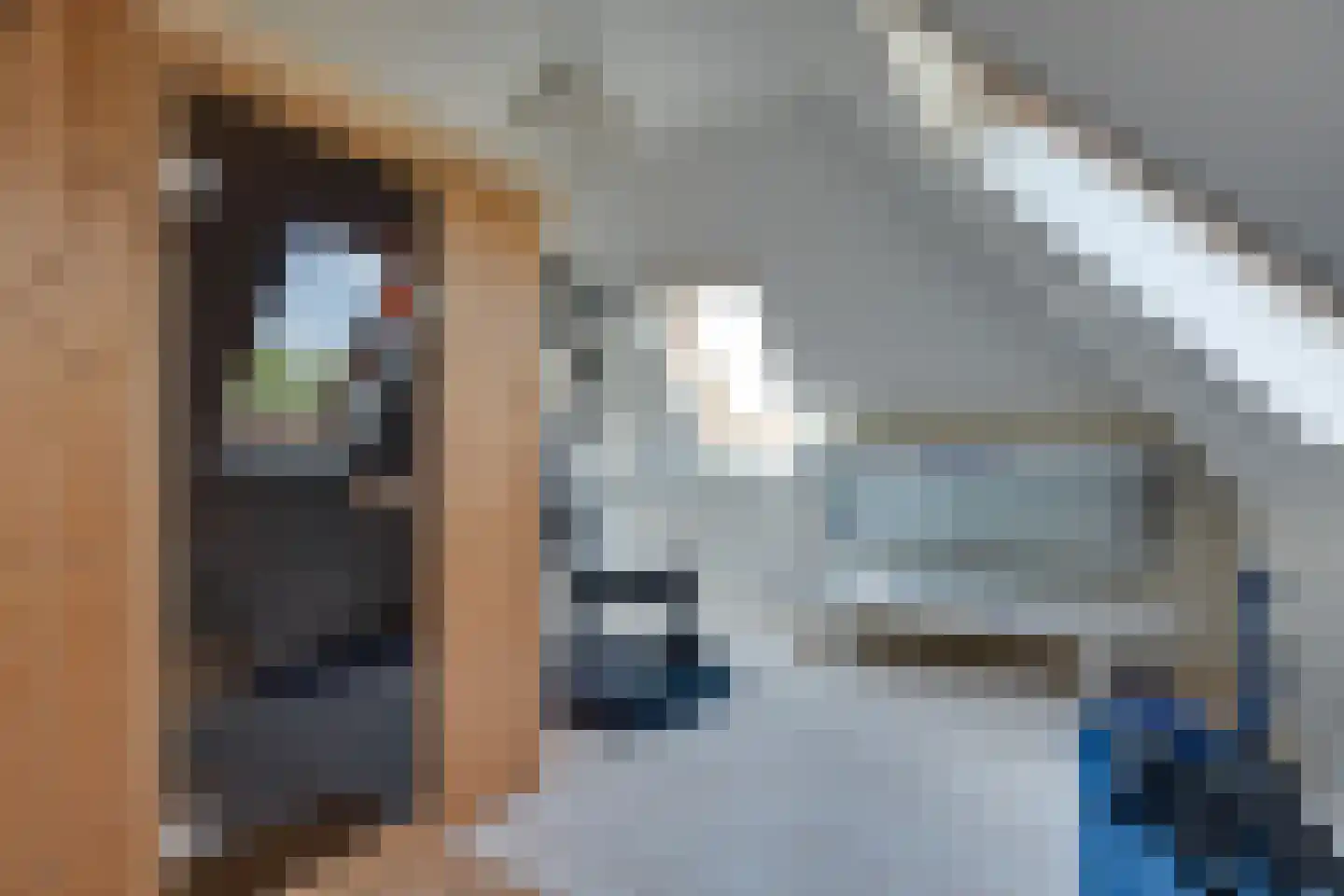 Fiifhuzen 17 Harkema thumbnail 42