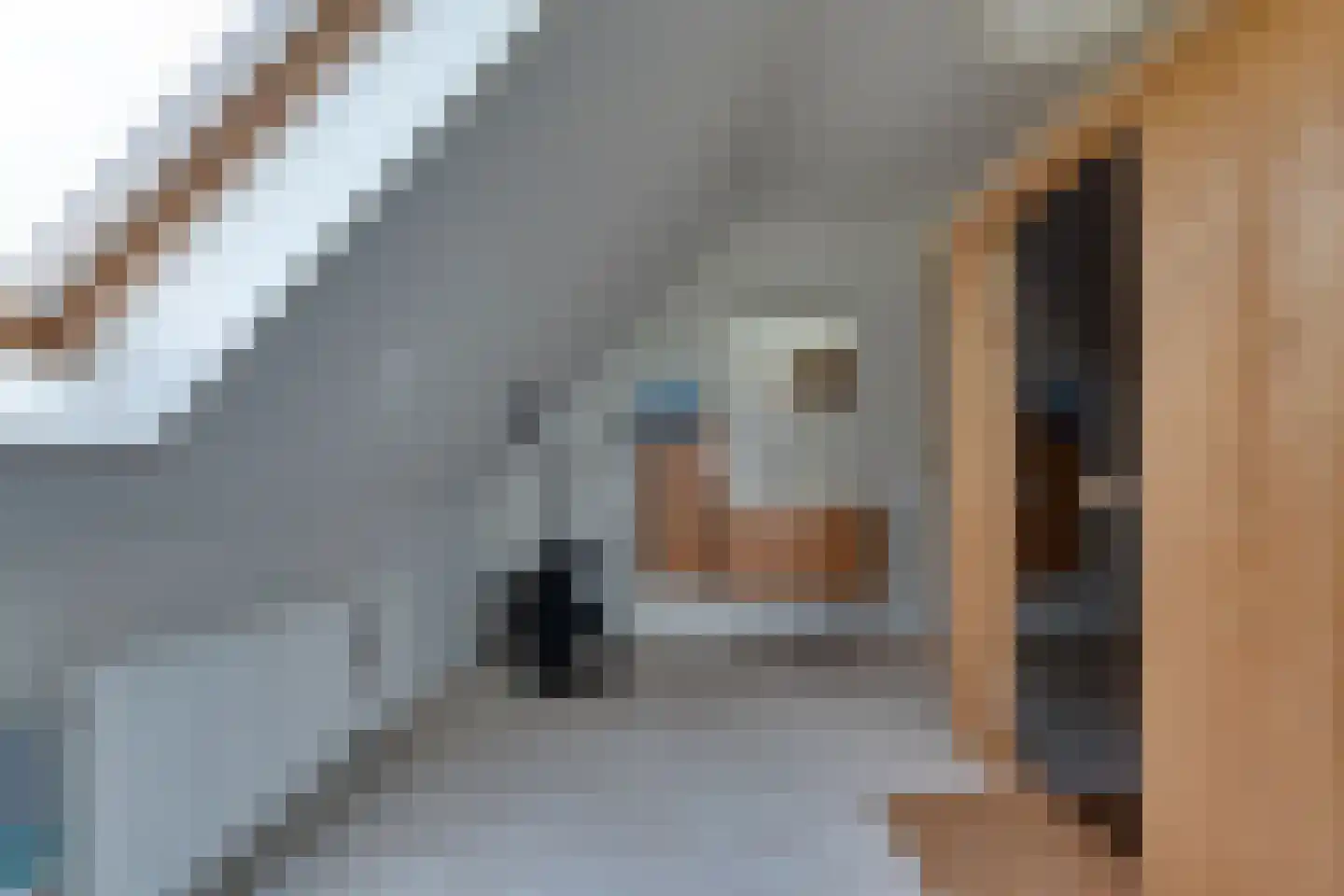 Fiifhuzen 17 Harkema thumbnail 43