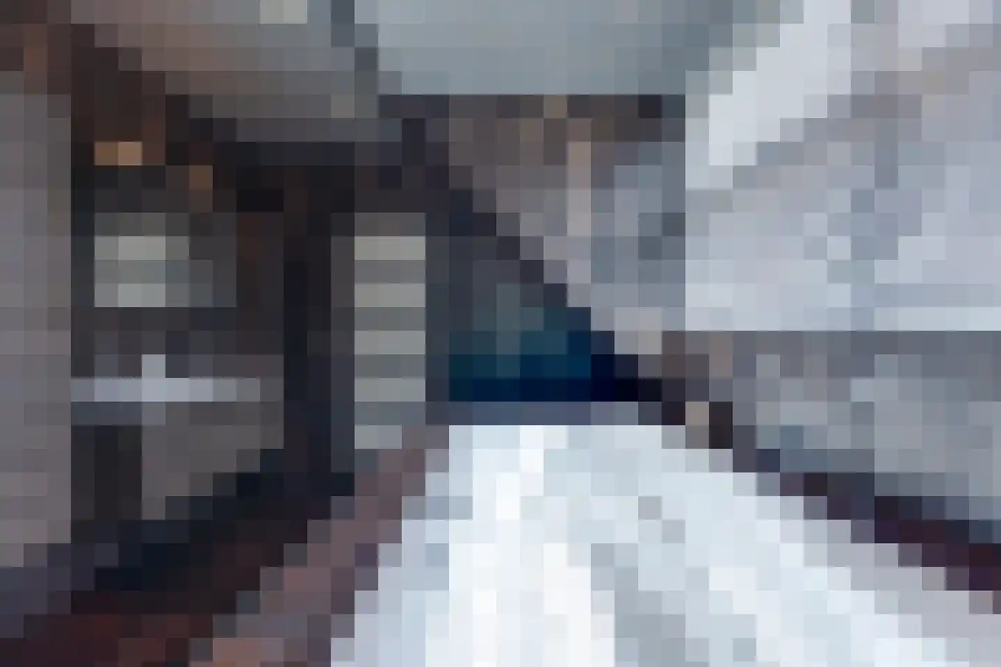Fiifhuzen 17 Harkema thumbnail 45