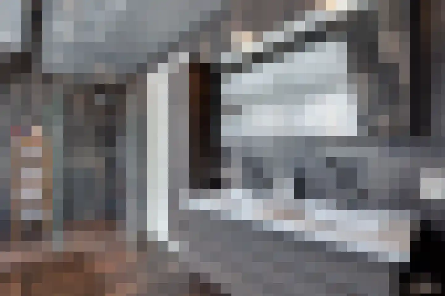 Fiifhuzen 17 Harkema thumbnail 46