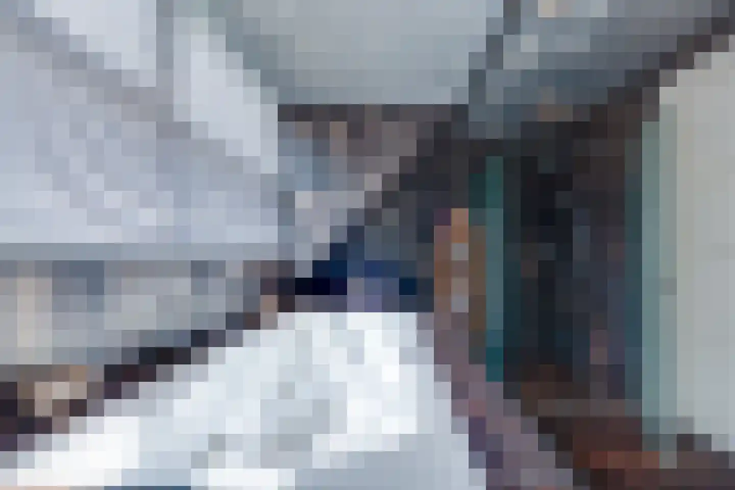 Fiifhuzen 17 Harkema thumbnail 47