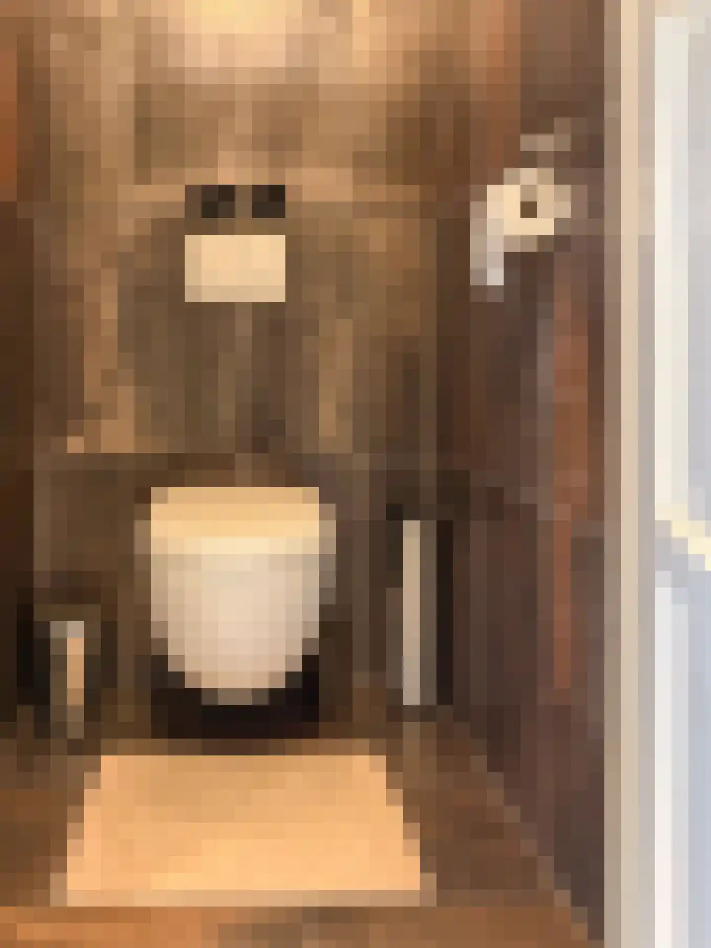 Fiifhuzen 17 Harkema thumbnail 48