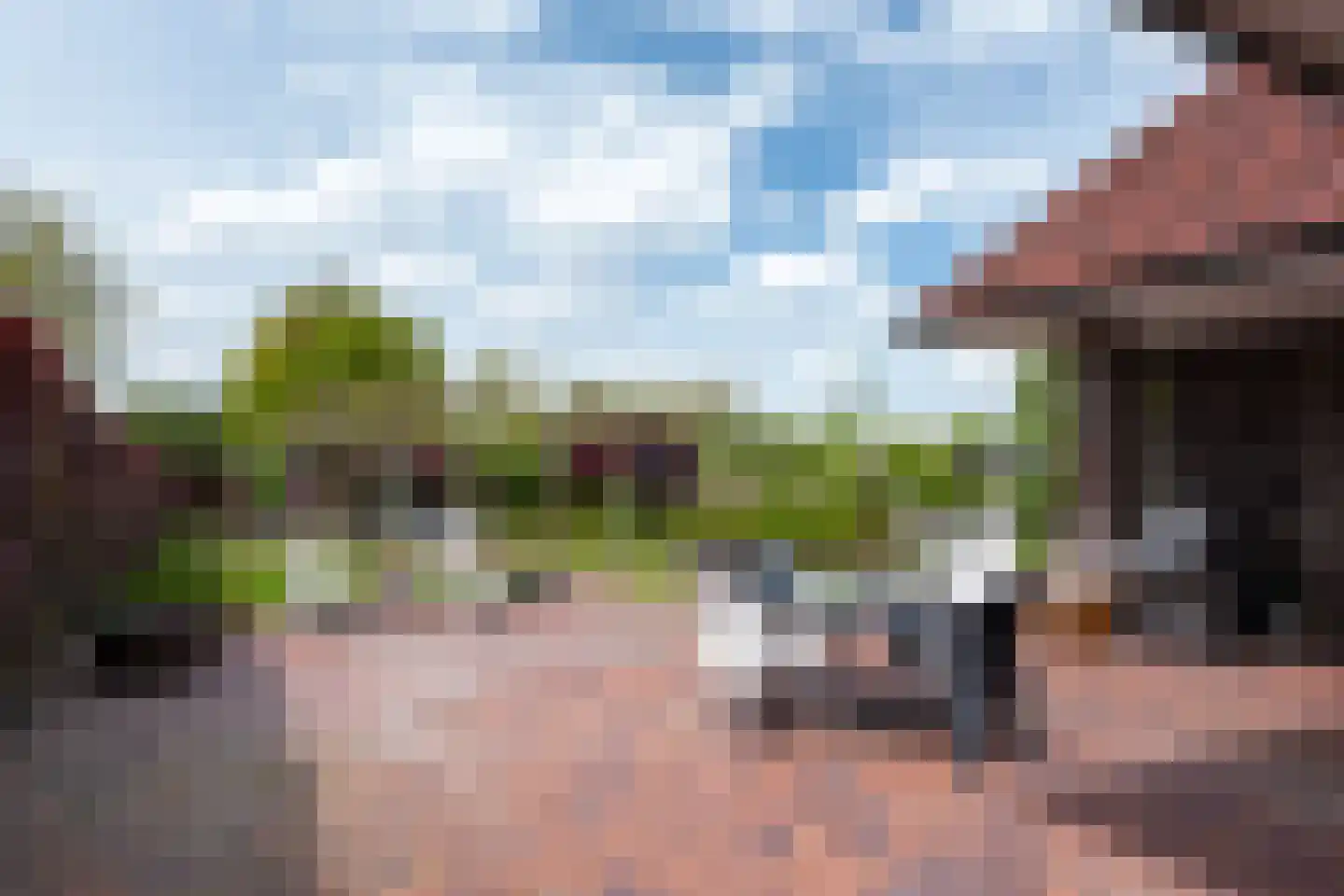 Fiifhuzen 17 Harkema thumbnail 50