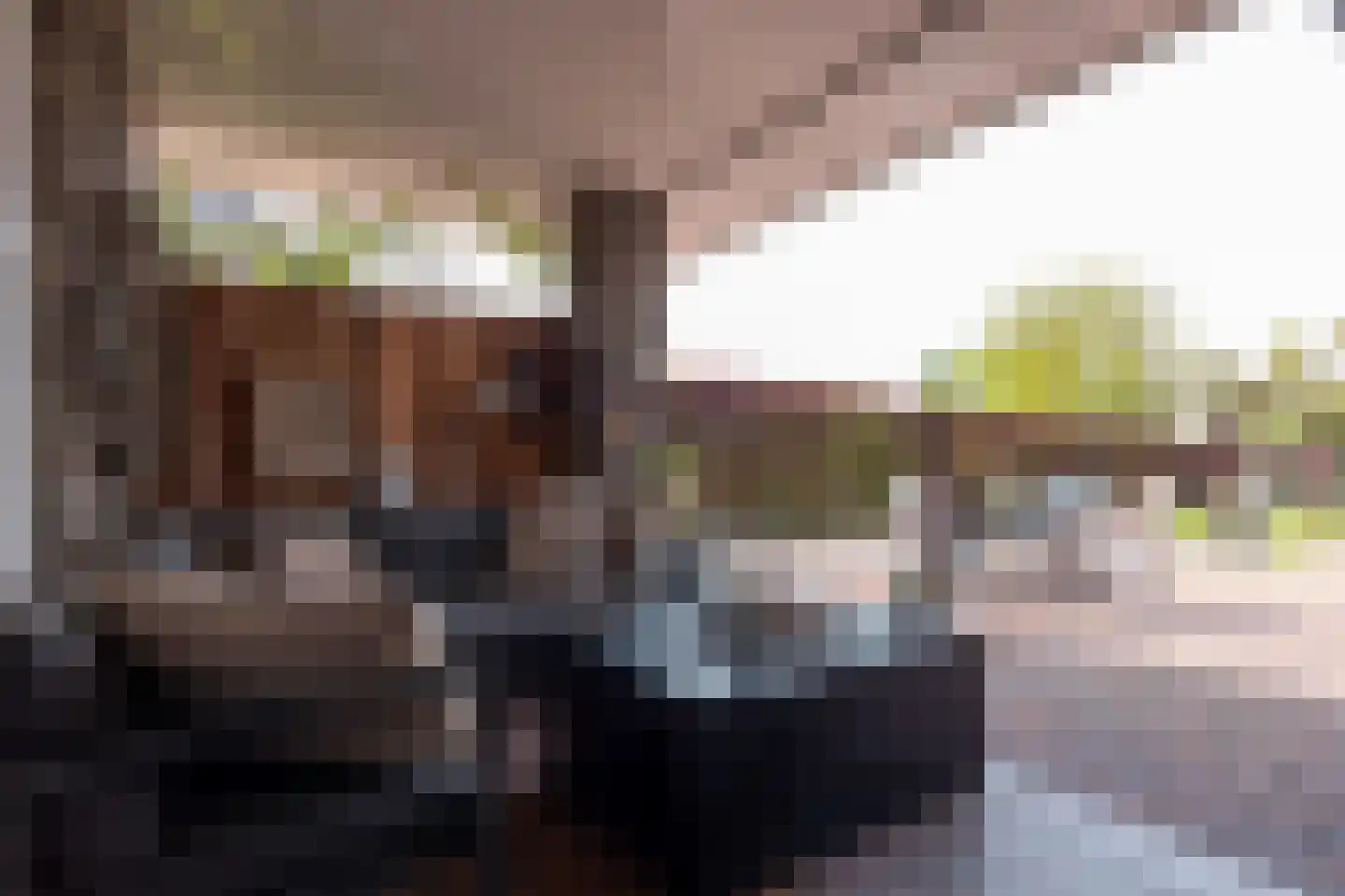 Fiifhuzen 17 Harkema thumbnail 52