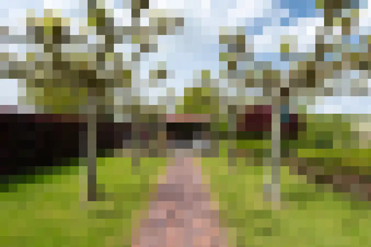 Fiifhuzen 17 Harkema thumbnail 54
