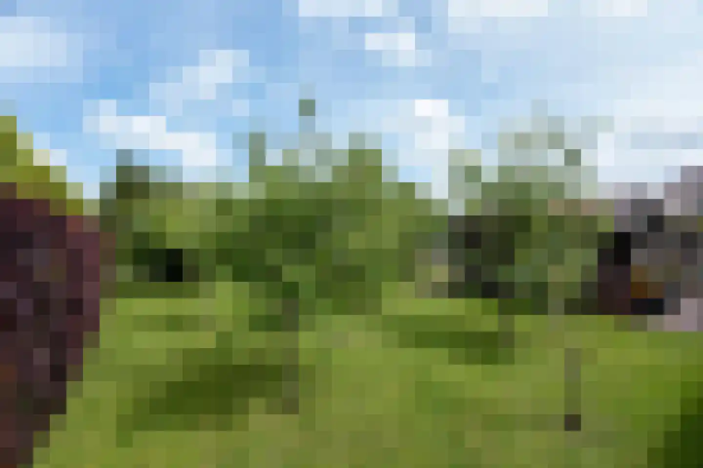 Fiifhuzen 17 Harkema thumbnail 58
