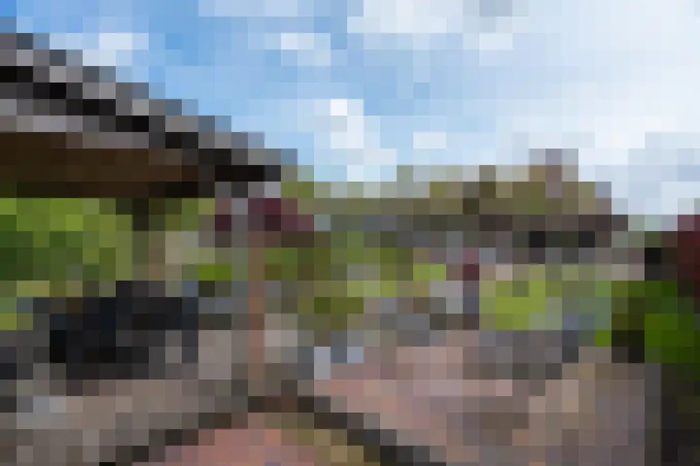 Fiifhuzen 17 Harkema thumbnail 59
