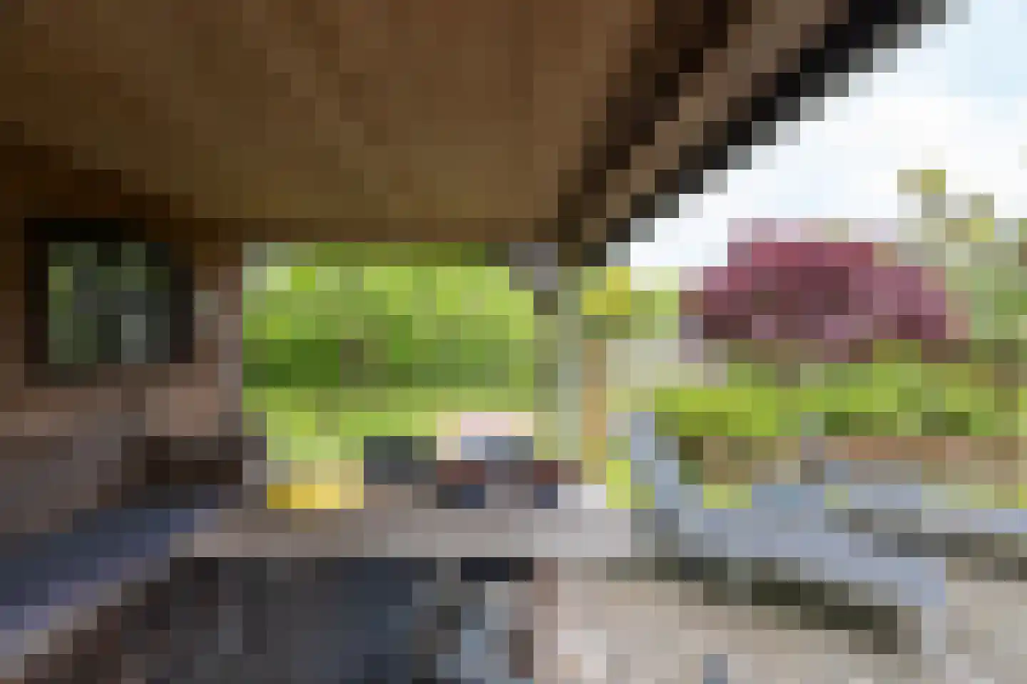 Fiifhuzen 17 Harkema thumbnail 60