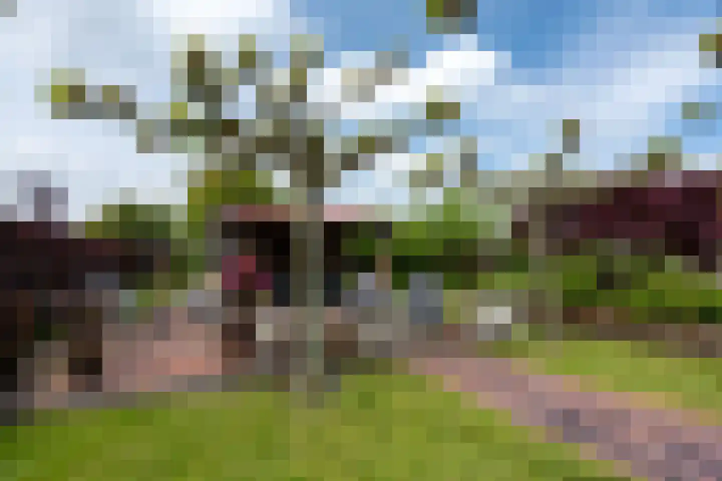 Fiifhuzen 17 Harkema thumbnail 61