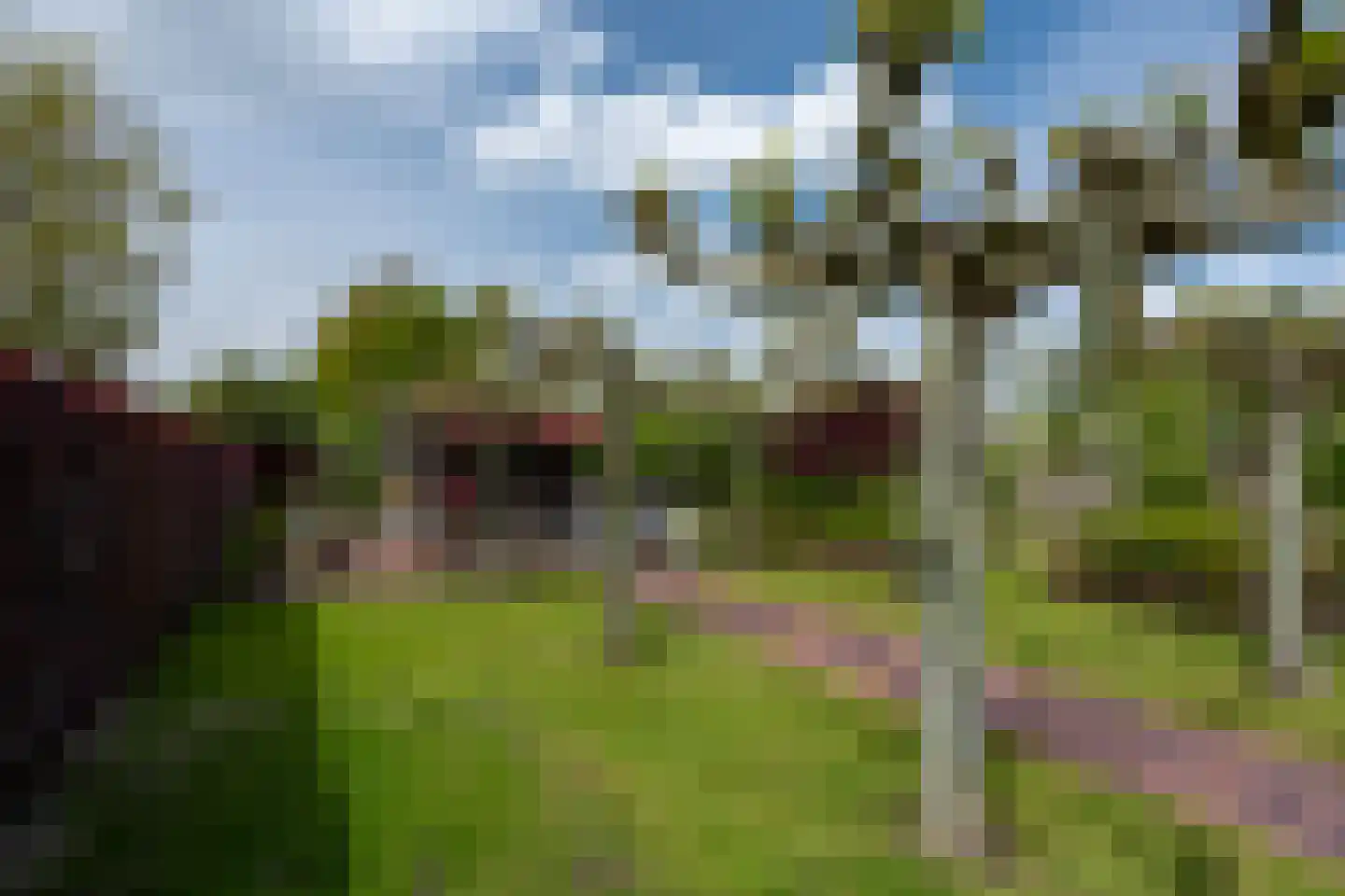 Fiifhuzen 17 Harkema thumbnail 62