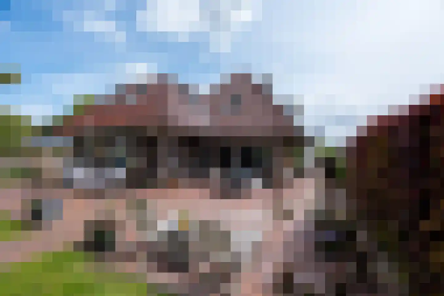 Fiifhuzen 17 Harkema thumbnail 63