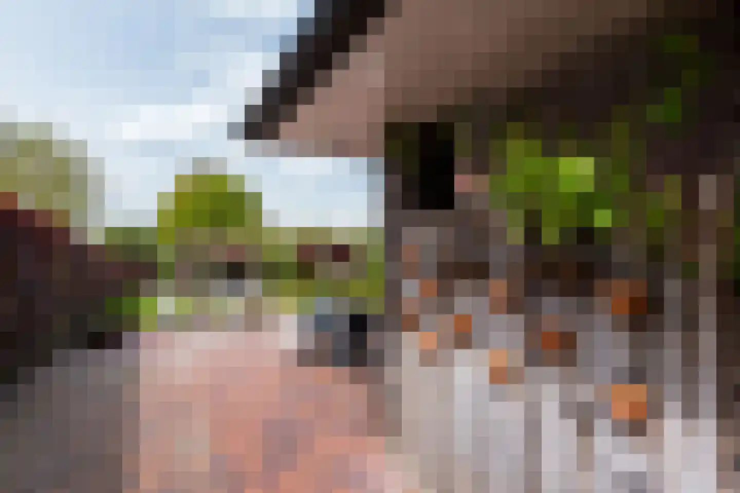 Fiifhuzen 17 Harkema thumbnail 64