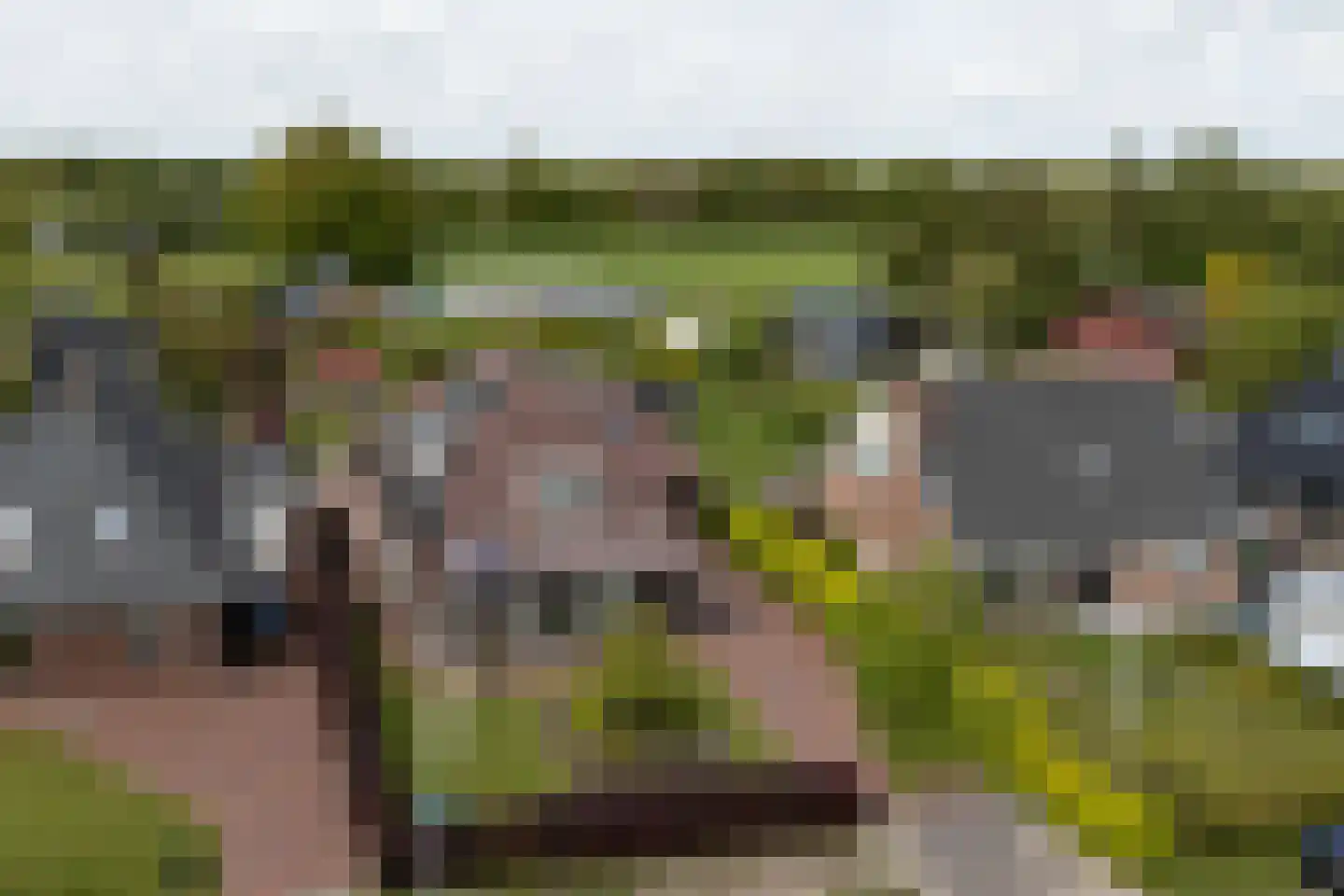 Fiifhuzen 17 Harkema thumbnail 67