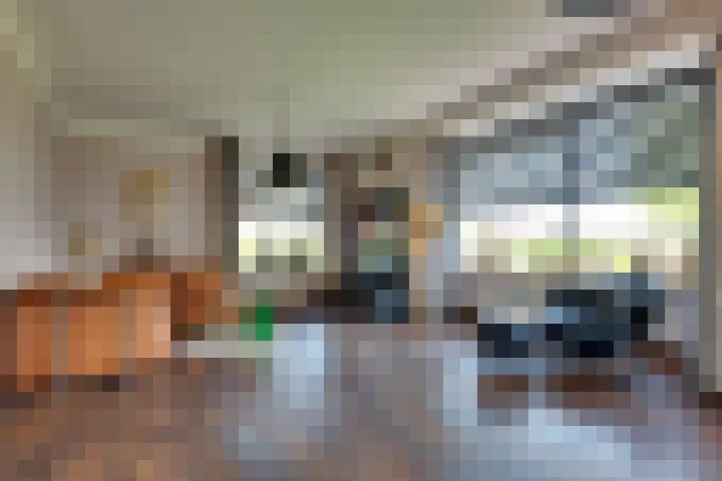 Fiifhuzen 17 Harkema thumbnail 9