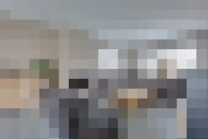 Fiifhuzen 29 Harkema thumbnail 11