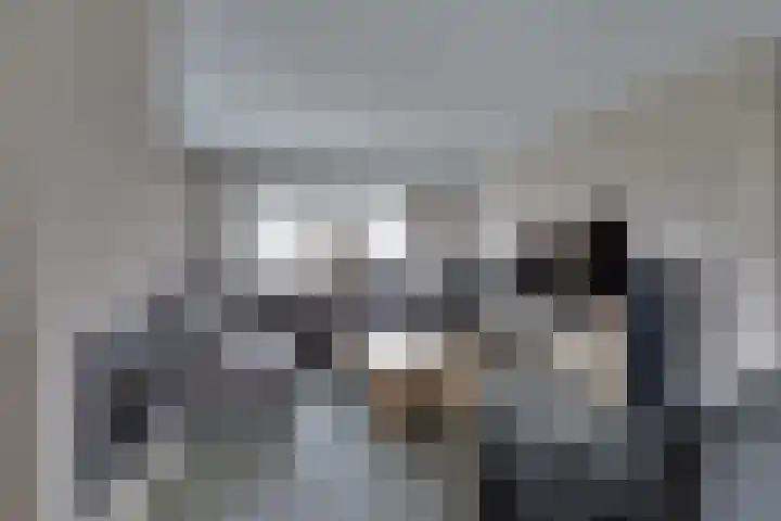 Fiifhuzen 29 Harkema thumbnail 12