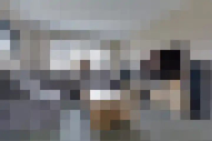 Fiifhuzen 29 Harkema thumbnail 13
