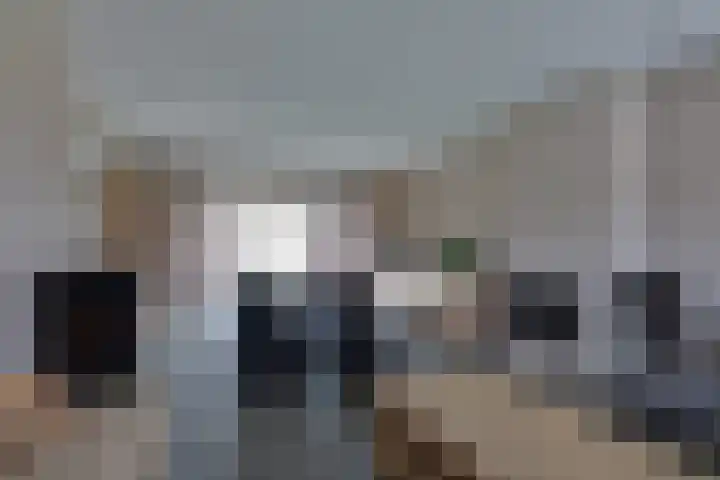 Fiifhuzen 29 Harkema thumbnail 14