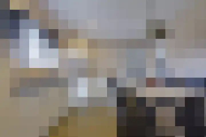 Fiifhuzen 29 Harkema thumbnail 16