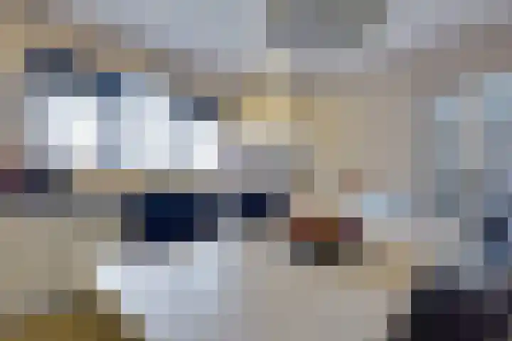 Fiifhuzen 29 Harkema thumbnail 17