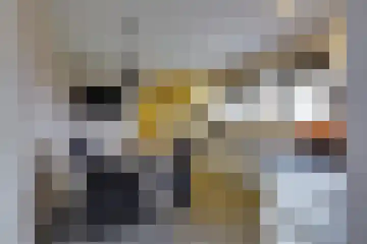 Fiifhuzen 29 Harkema thumbnail 18
