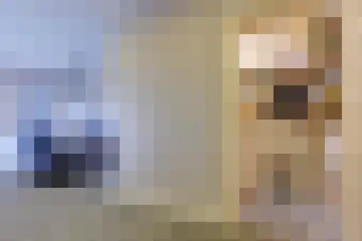 Fiifhuzen 29 Harkema thumbnail 19