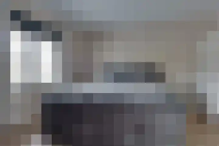 Fiifhuzen 29 Harkema thumbnail 22