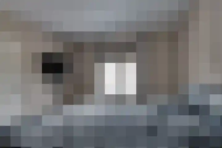 Fiifhuzen 29 Harkema thumbnail 23