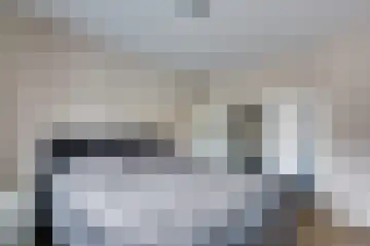 Fiifhuzen 29 Harkema thumbnail 24