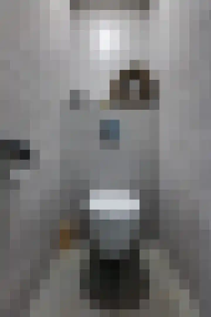 Fiifhuzen 29 Harkema thumbnail 25