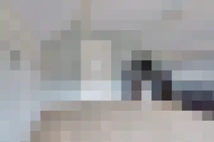 Fiifhuzen 29 Harkema thumbnail 34