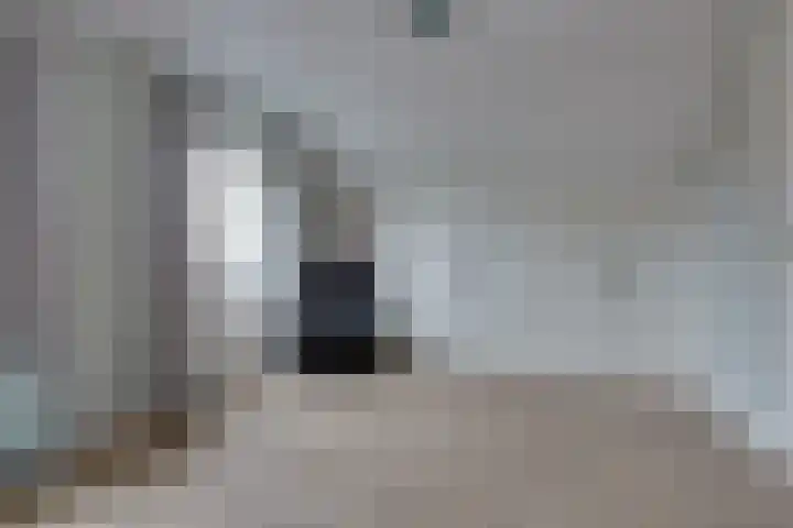 Fiifhuzen 29 Harkema thumbnail 37