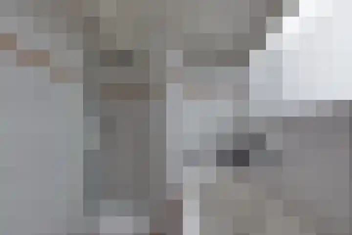 Fiifhuzen 29 Harkema thumbnail 39