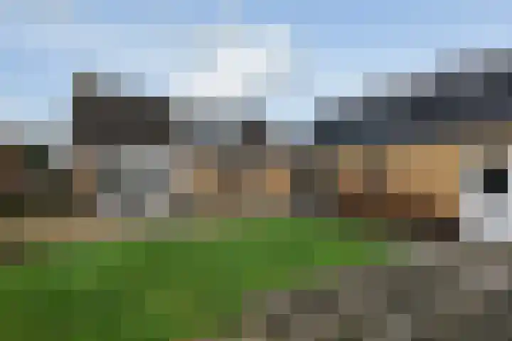 Fiifhuzen 29 Harkema thumbnail 4