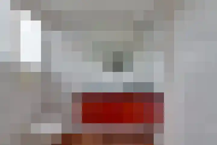 Fiifhuzen 29 Harkema thumbnail 40