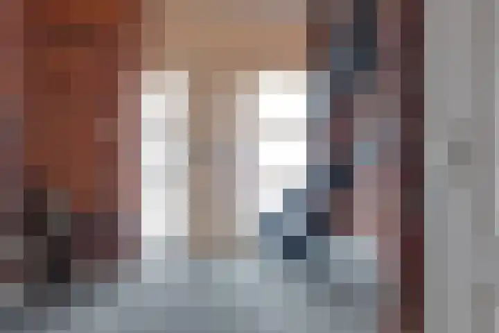 Fiifhuzen 29 Harkema thumbnail 41